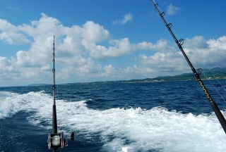 Excursiones de pesca